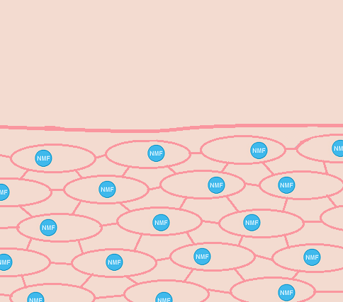 Hydratation, mode d'emploi: I. L'hydratation naturelle de la peau.